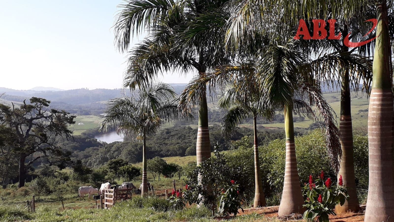 Fazenda/Sítios/Chácaras em Ibituruna - Centro