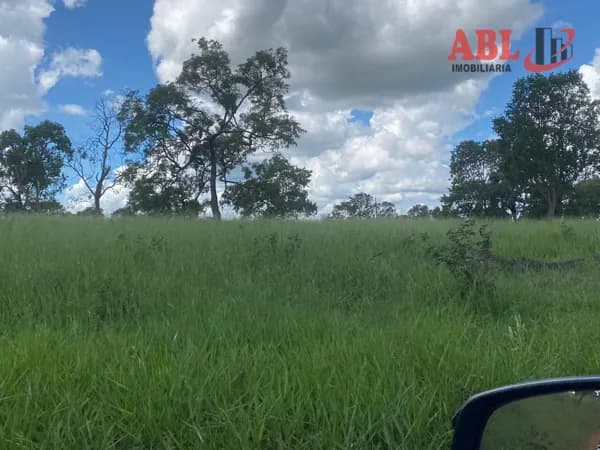 Fazenda/Sítios/Chácaras em Inocência - Centro