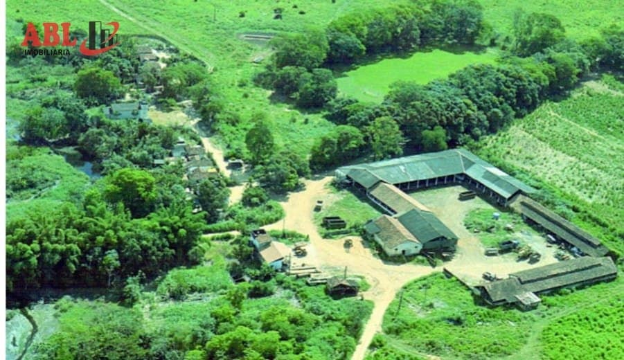 Fazenda em Centro Rio Casca-MG