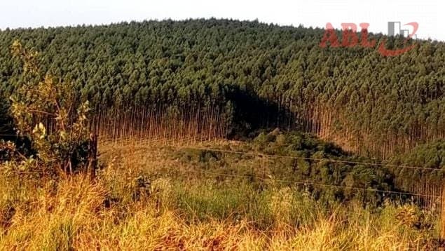 Fazenda para Venda em Centro Apiaí-SP