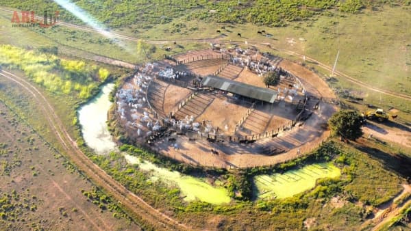 Fazenda para Venda em Centro SANTO ANTONIO DO LEVEGER-MT