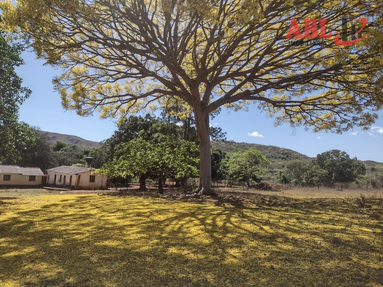 Fazenda/Sítios/Chácaras em Padre Bernardo - Centro