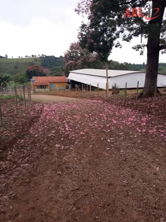 Fazenda/Sítios/Chácaras em São Gonçalo do Sapucaí - Centro