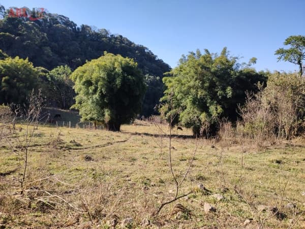 Sítio para Venda em Centro Senador Amaral-MG