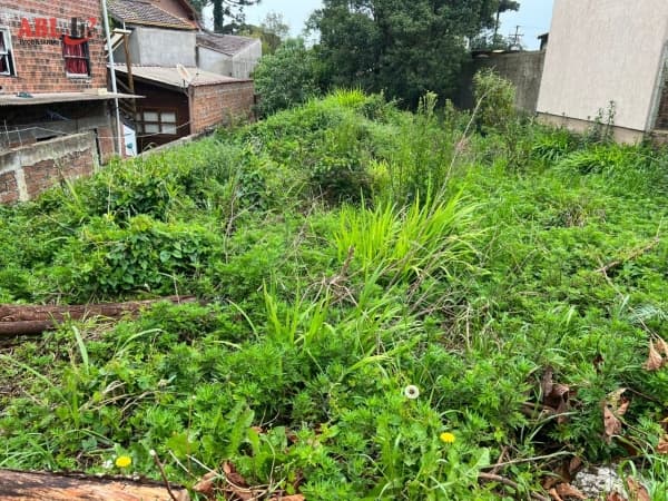 Terreno para Venda em Centro Canela-RS