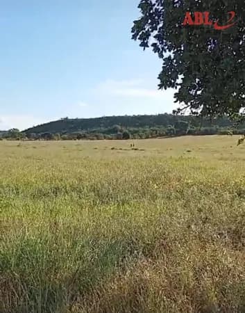 Fazenda/Sítios/Chácaras em Coromandel - Centro