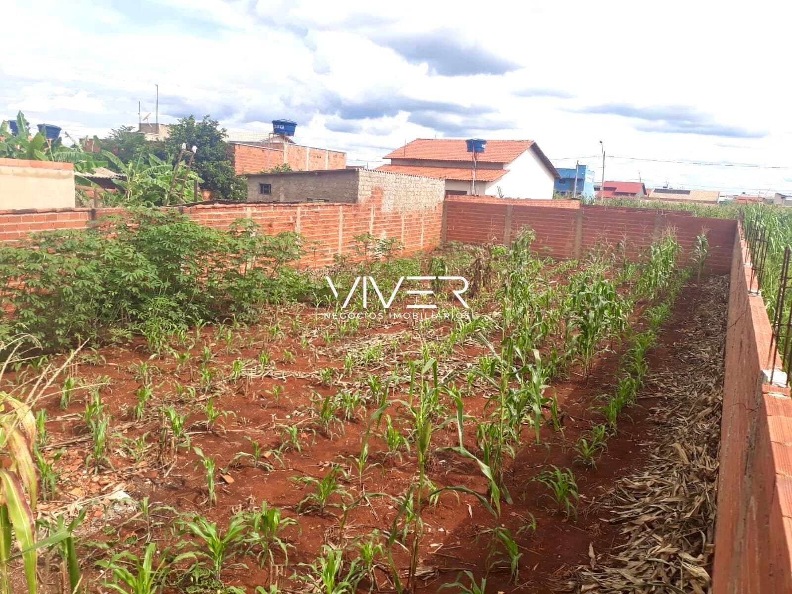 Lote/Terreno em Goianésia - Residencial Laurentino Martins