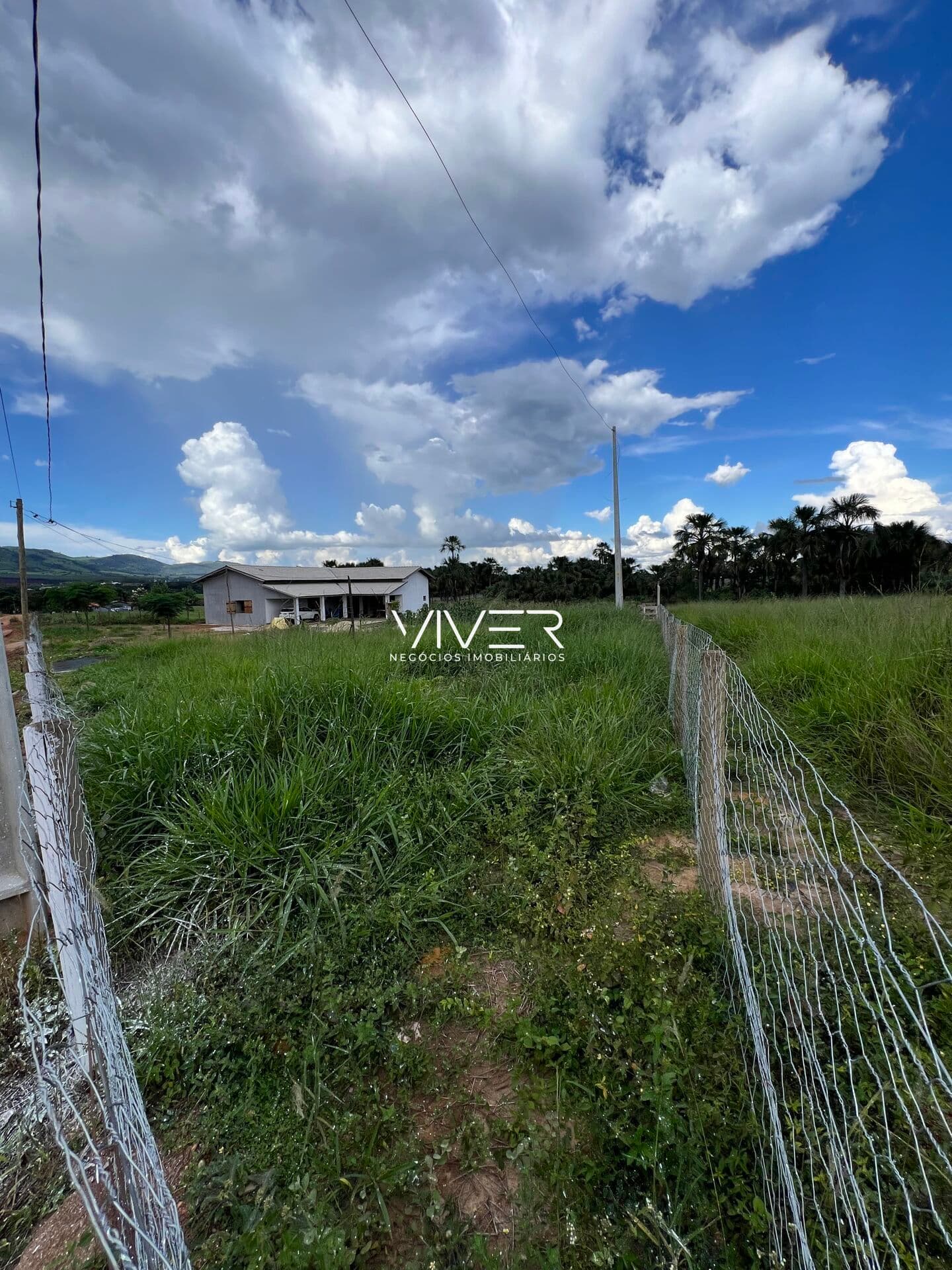 Lote/Terreno em Goianésia - Muniz Falcão