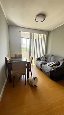 Apartamento dois dormitórios