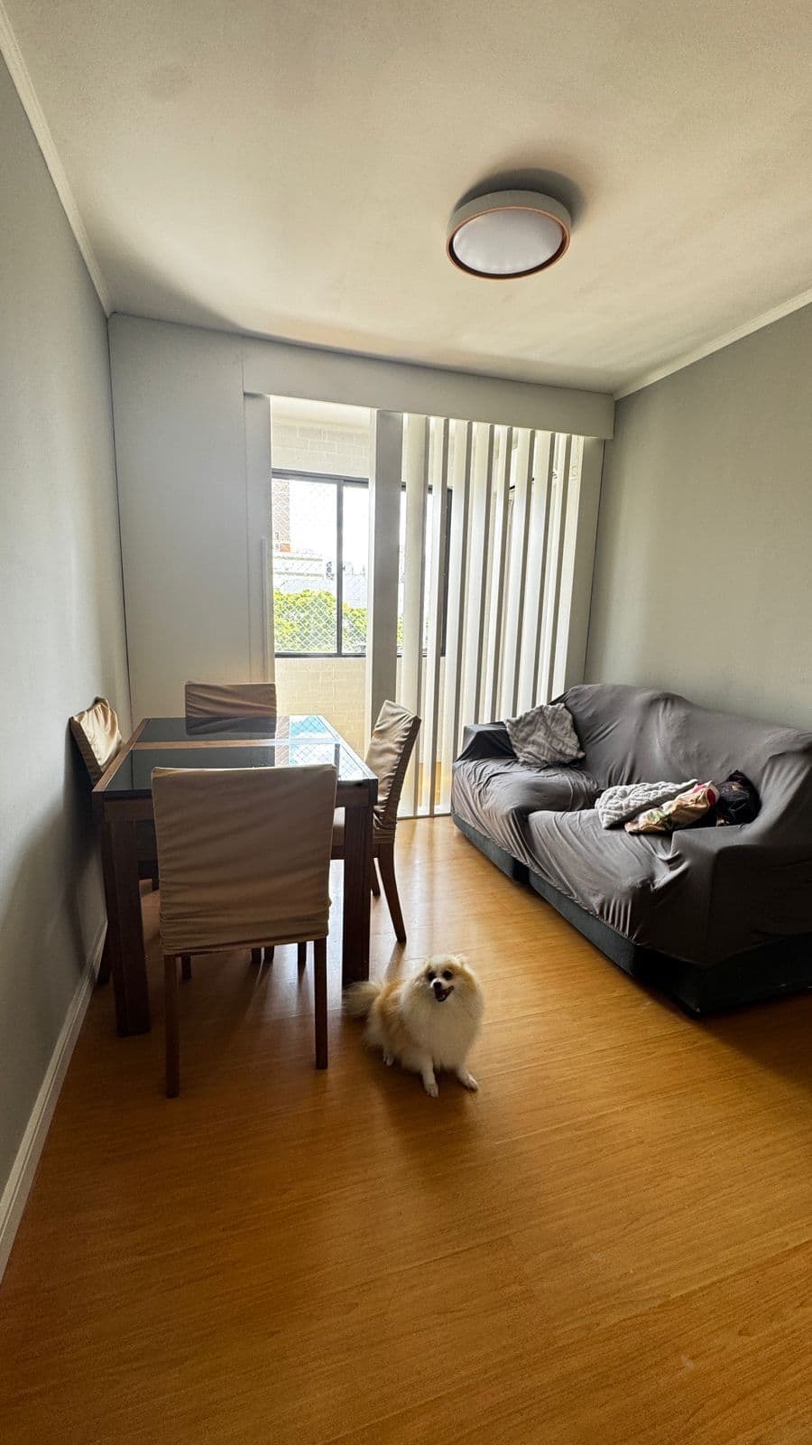 Apartamento dois dormitórios