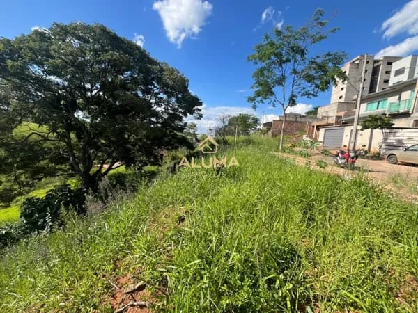 LOTES À VENDA – EXCLUSIVIDADE ALUMA IMÓVEIS