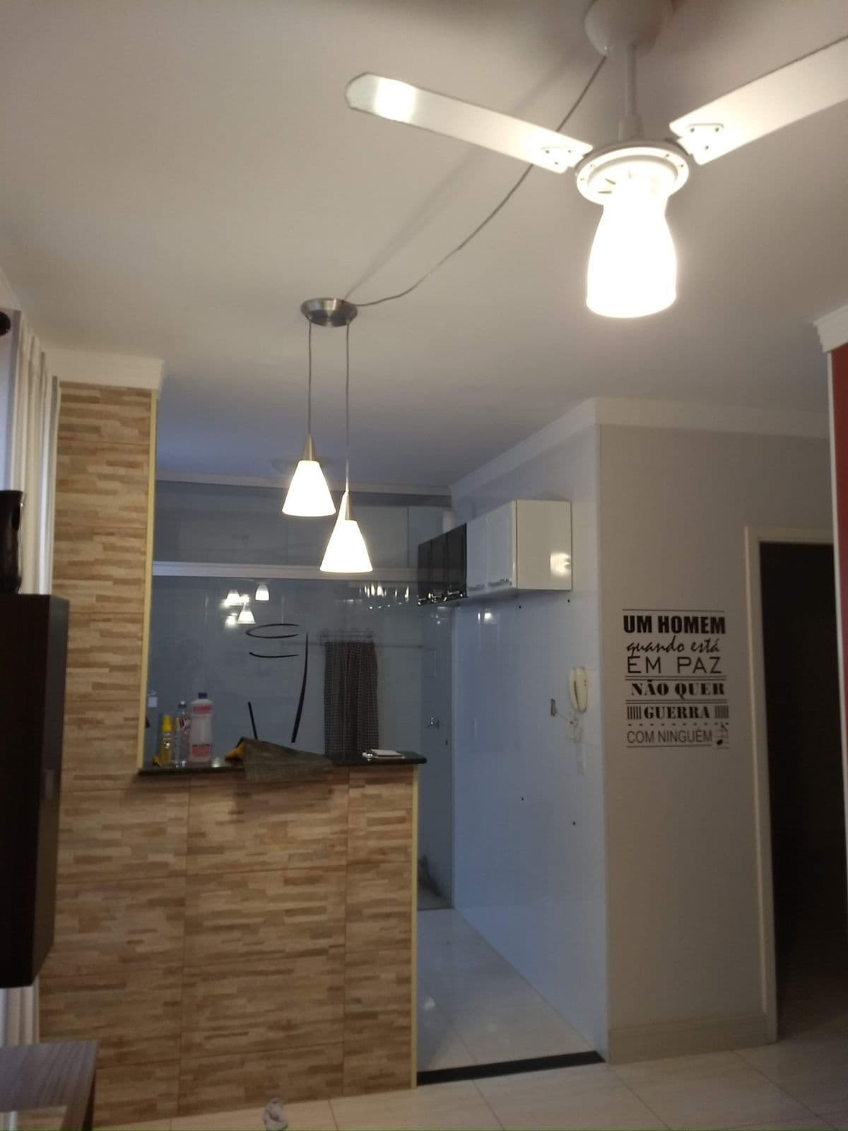 Apartamento Padrão Parque Atualle