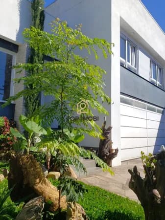 Casa em Caxias do Sul - Desvio Rizzo