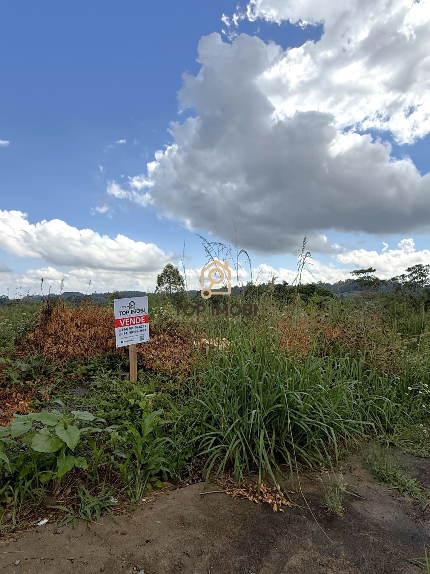 Terreno Padrão