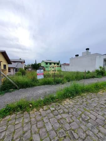 Terreno Padrão