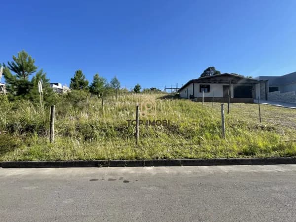Terreno Padrão