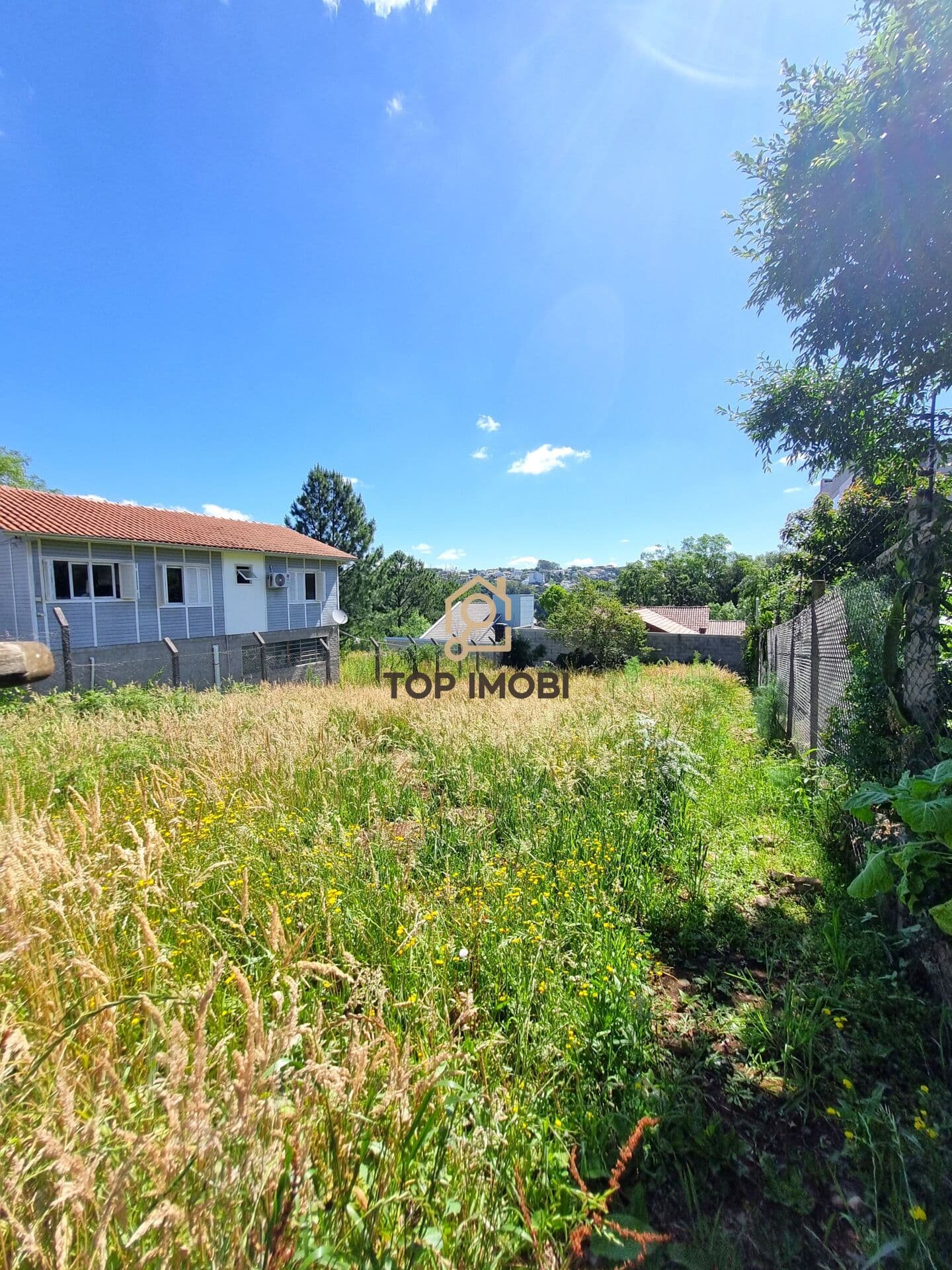 Terreno Padrão