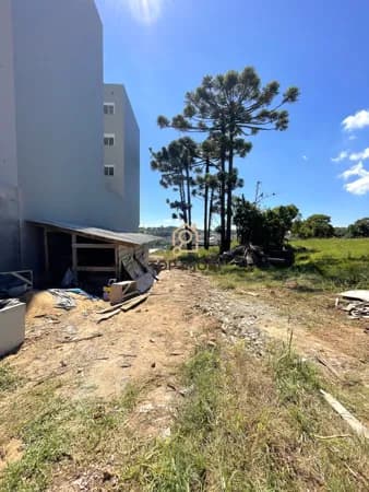 Terreno Padrão