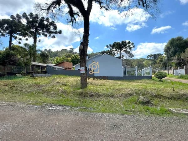 Terreno Padrão