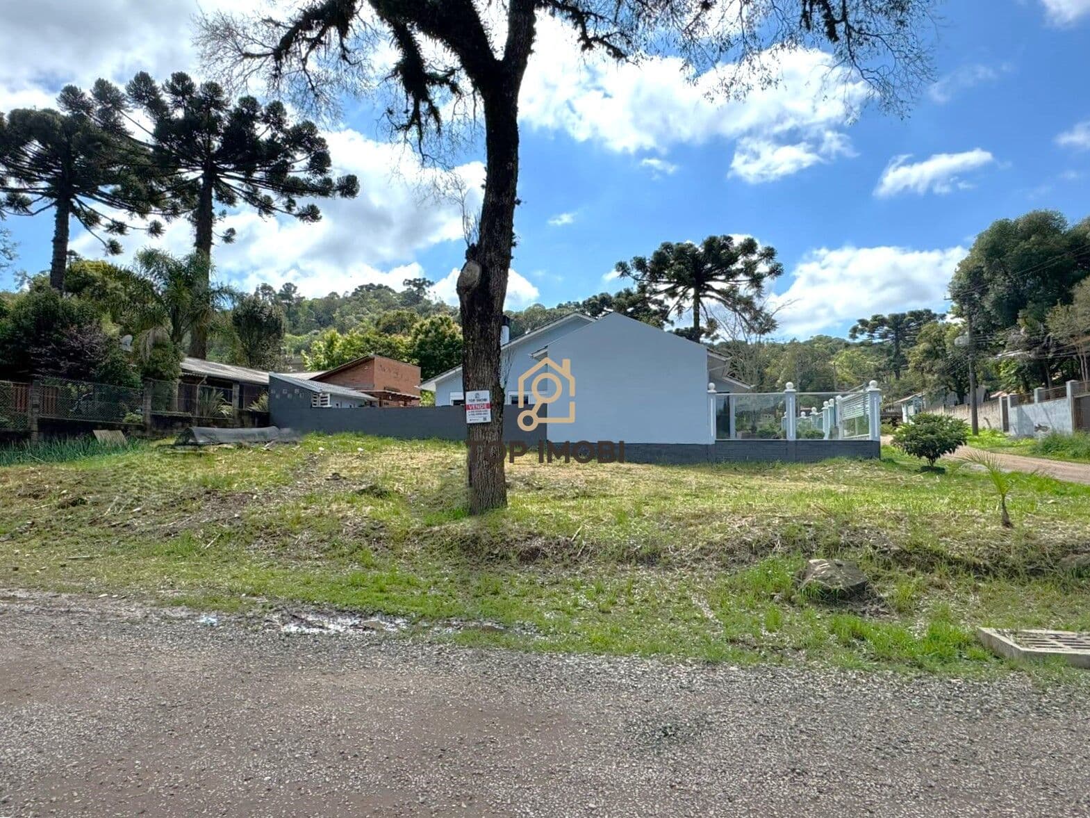 Terreno Padrão
