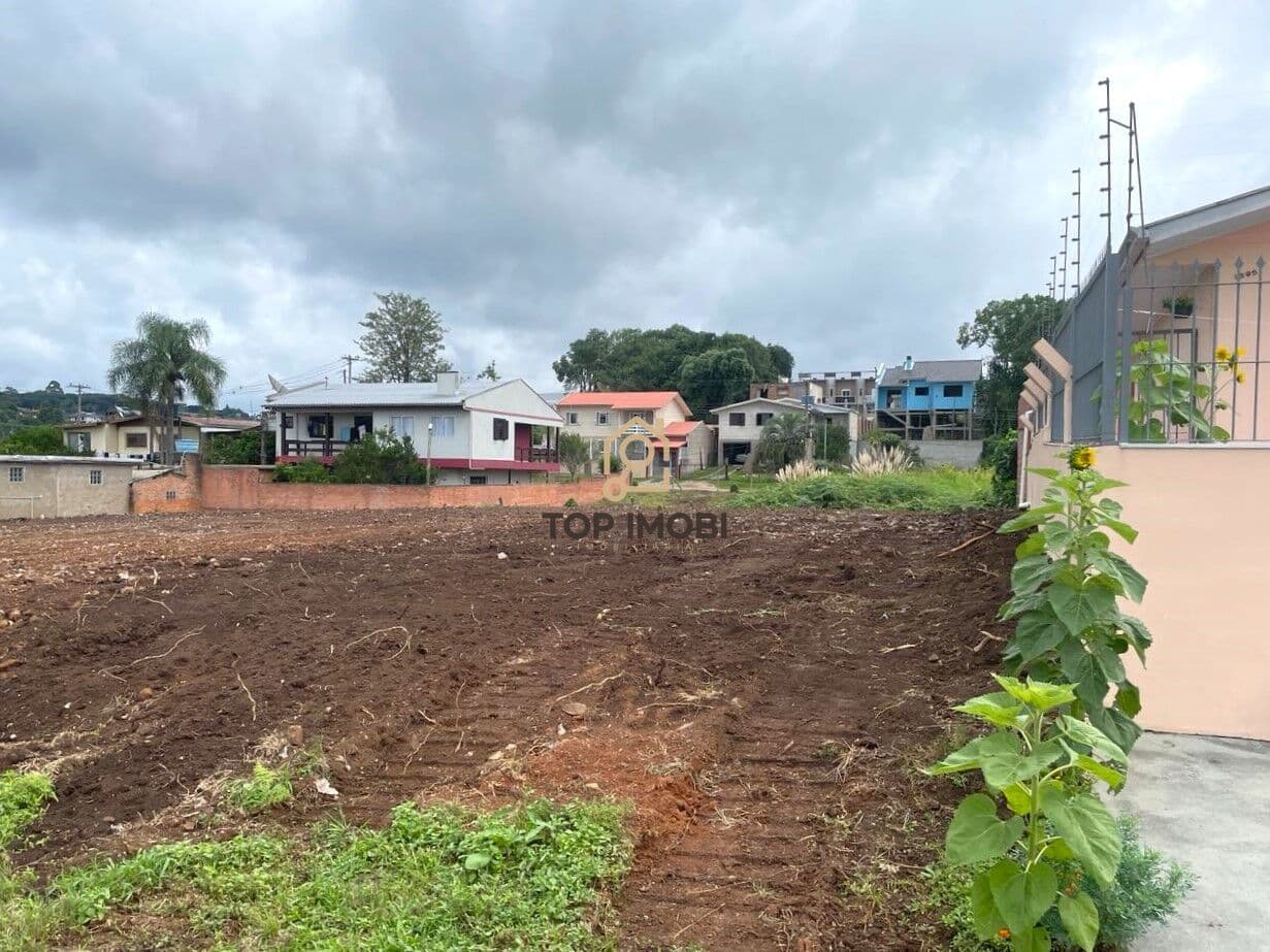 Terreno Padrão