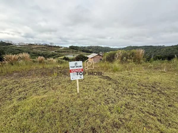 Terreno Padrão