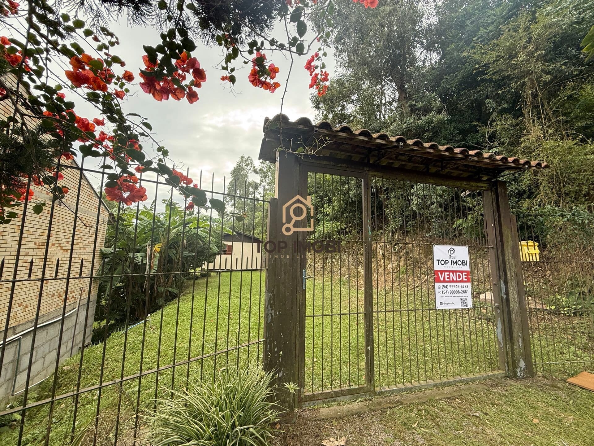 Terreno Padrão