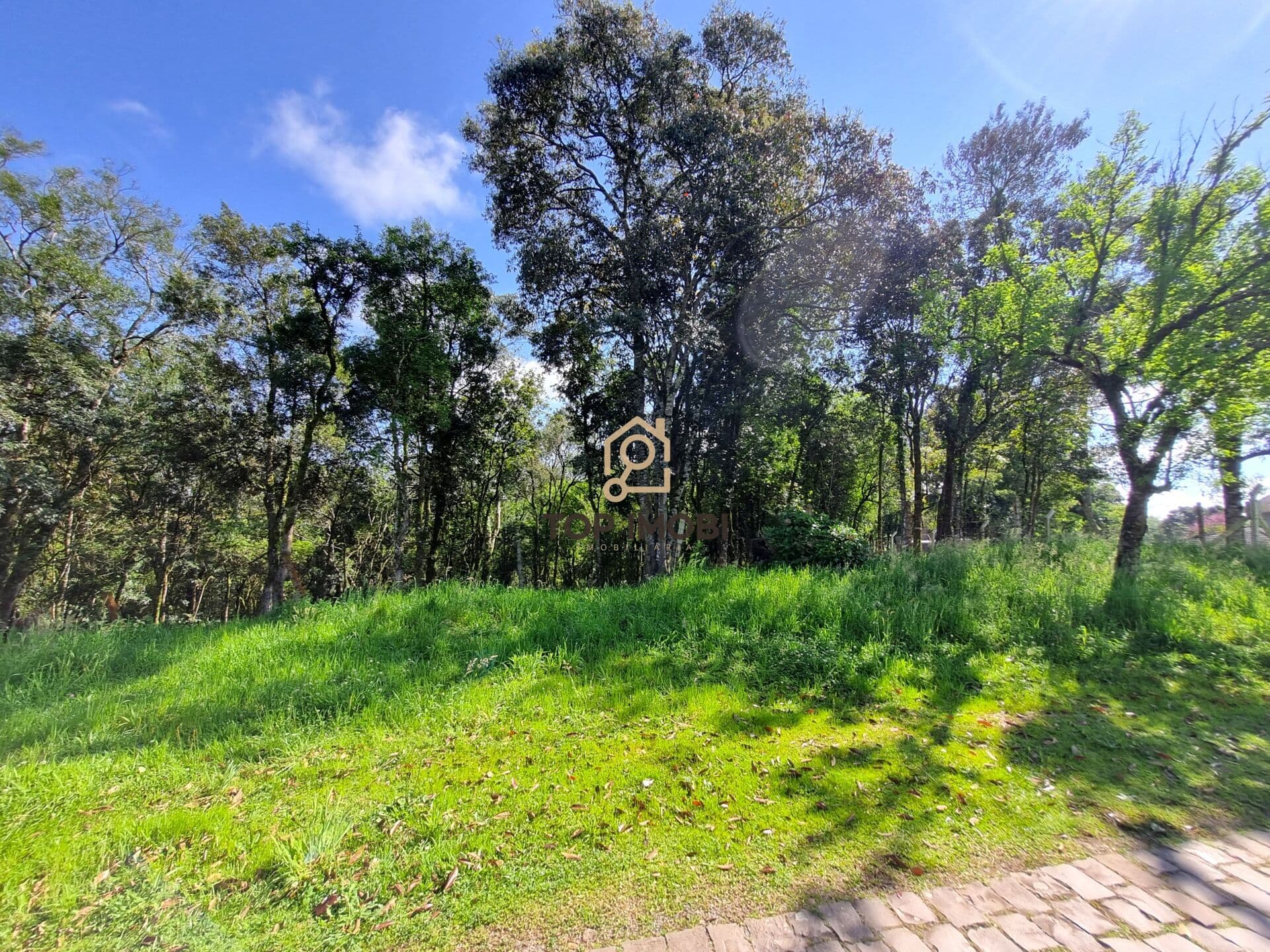 Terreno Padrão