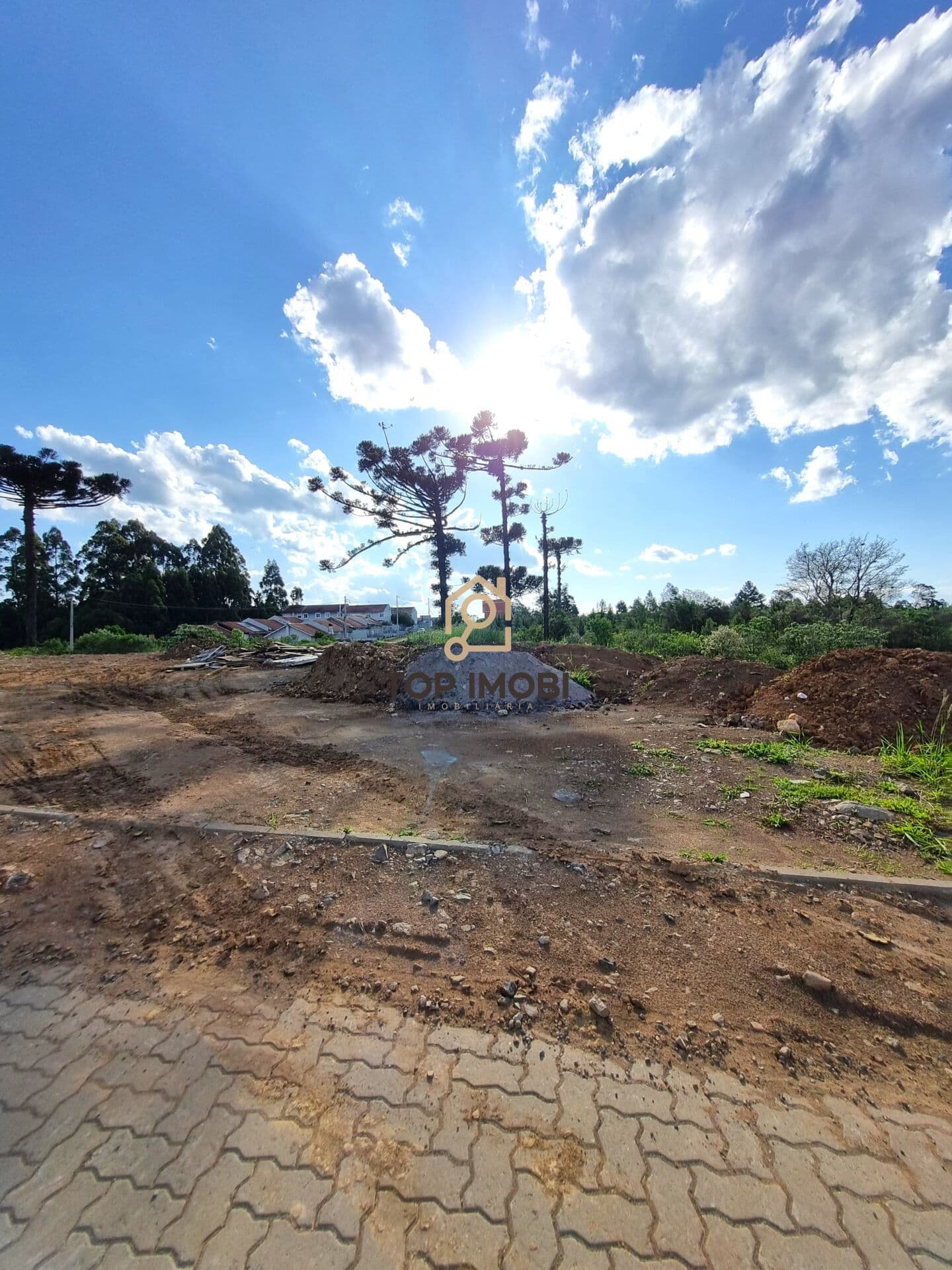 Terreno Padrão