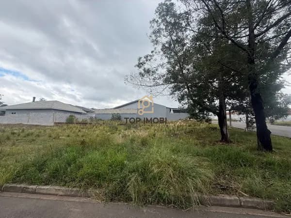 Terreno Padrão