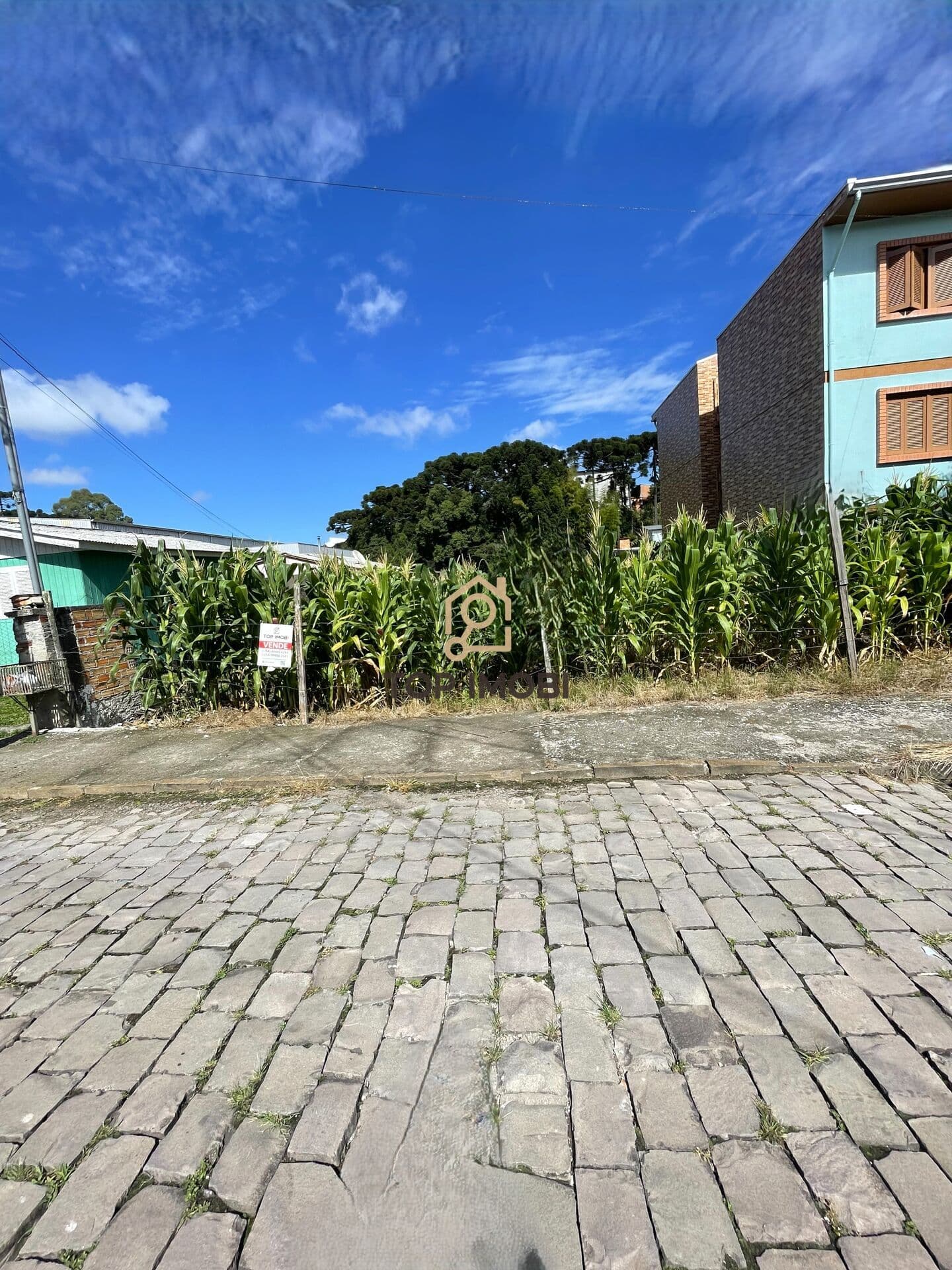 Terreno Padrão