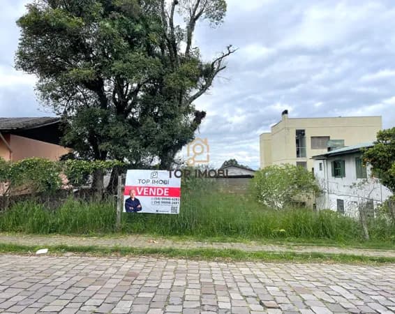 Terreno Padrão