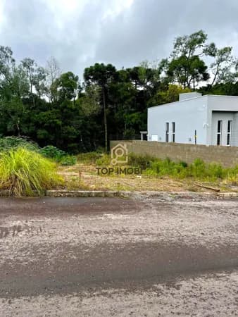 Terreno Padrão