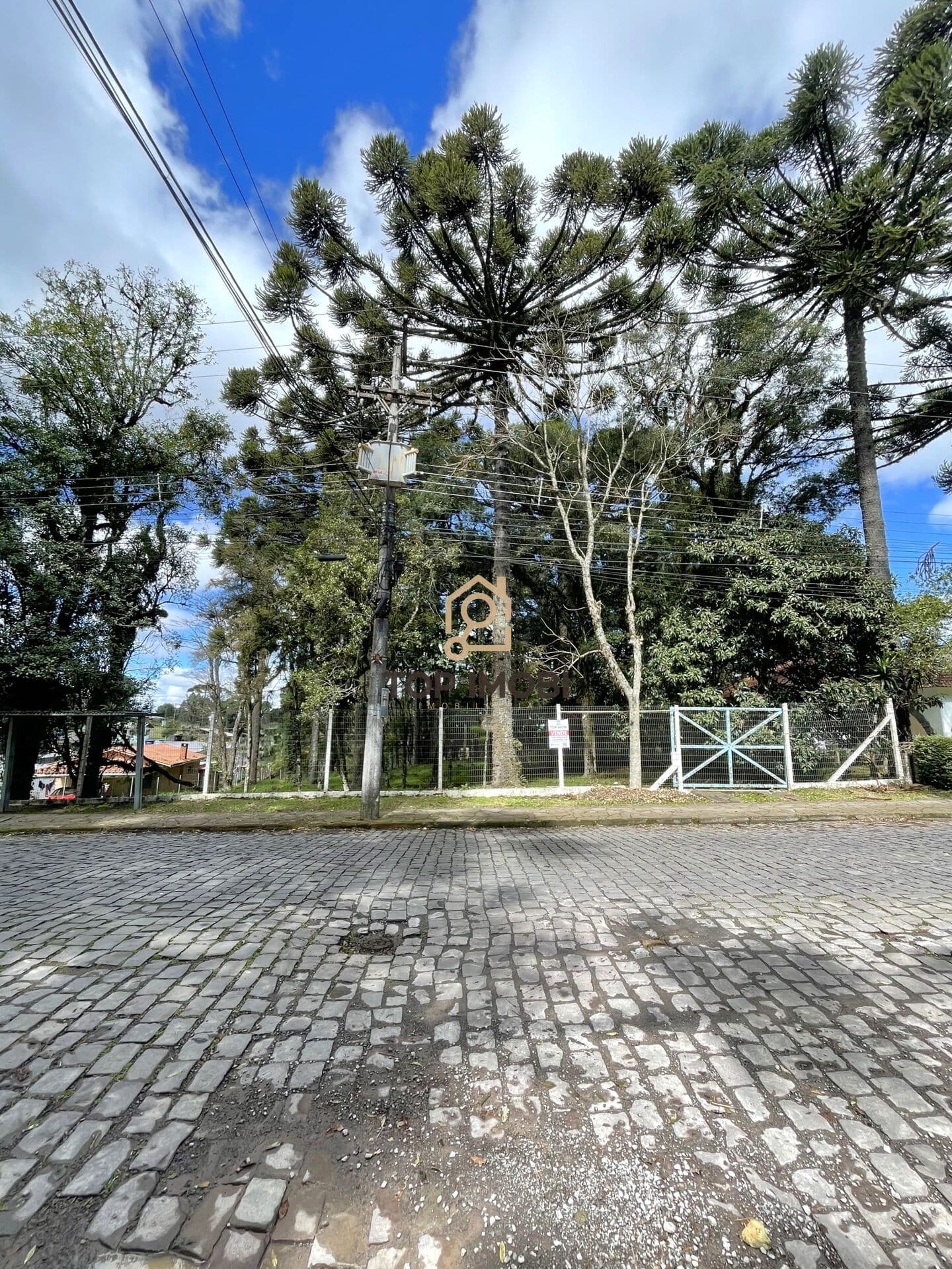 Terreno Padrão