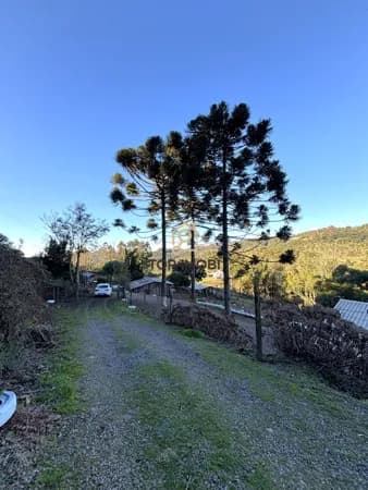 Chácara Padrão