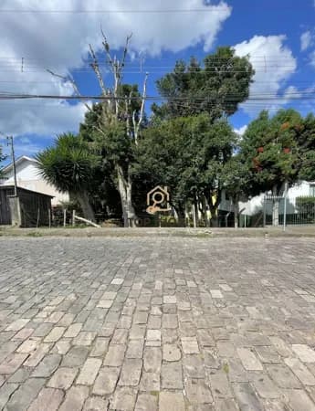 Terreno Padrão