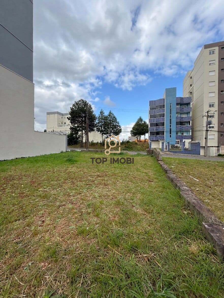 Terreno Padrão