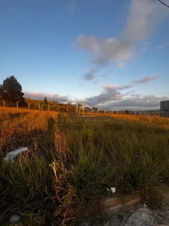 Terreno Vida Bela Itapevi
