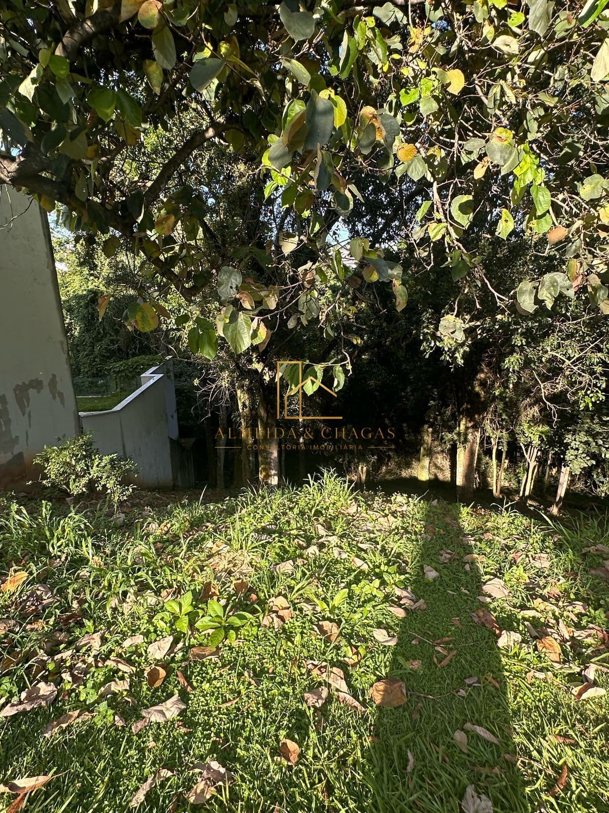 Condomínio Residencial Tarumã