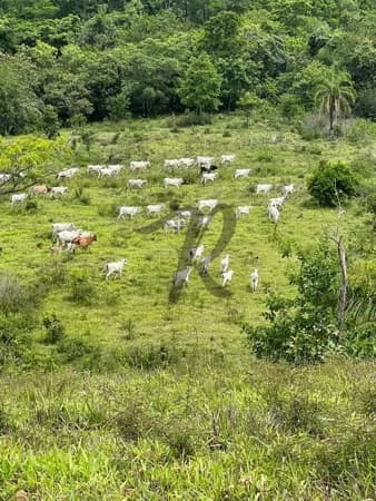 Sítio à venda, 400000 m² por R$ 1.600.000,00 - Zona Rural - Poxoréu/MT
