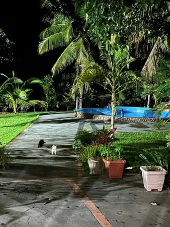 Fazenda/Sítios/Chácaras em Poxoréu - Zona Rural