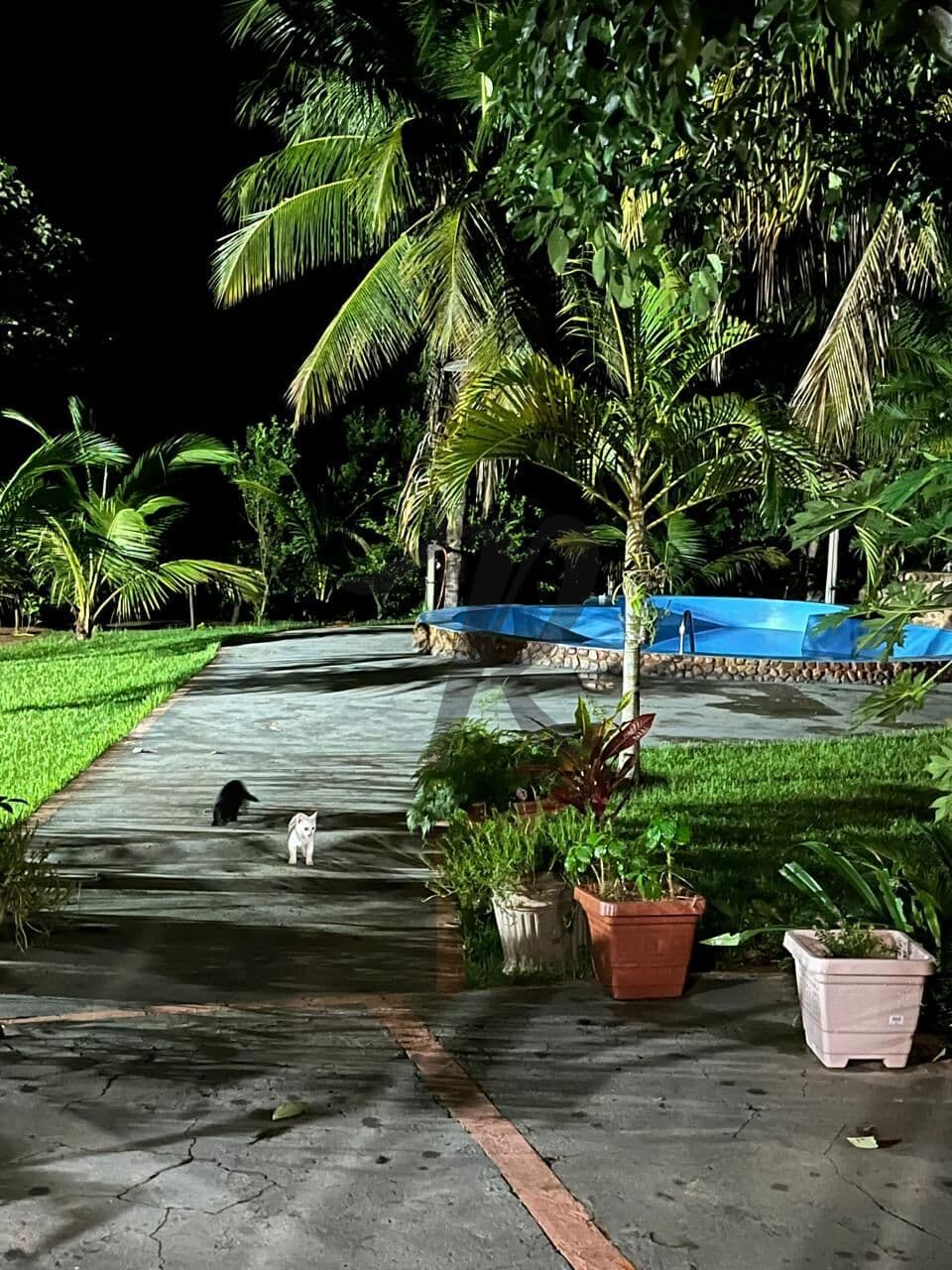 Fazenda/Sítios/Chácaras em Poxoréu - Zona Rural