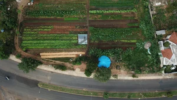 Lote/Terreno em Primavera do Leste - PARQUE ELDORADO