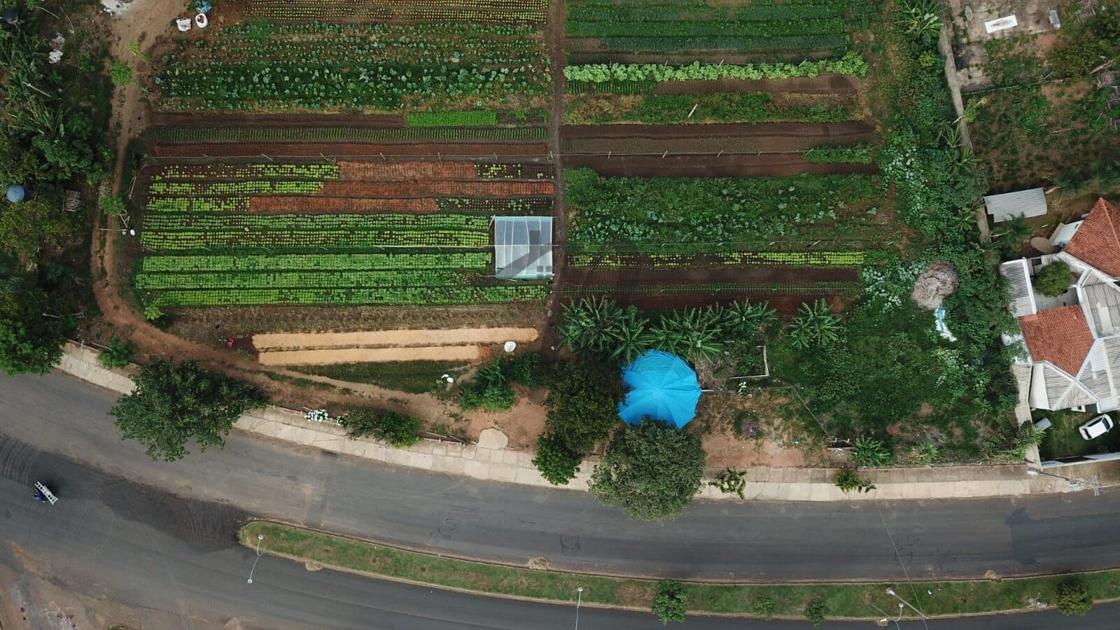 Lote/Terreno em Primavera do Leste - PARQUE ELDORADO