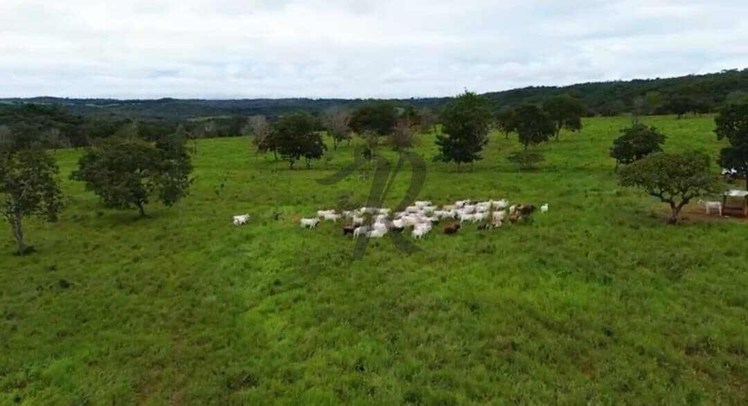 Fazenda/Sítios/Chácaras em Primavera do Leste - Zona Rural