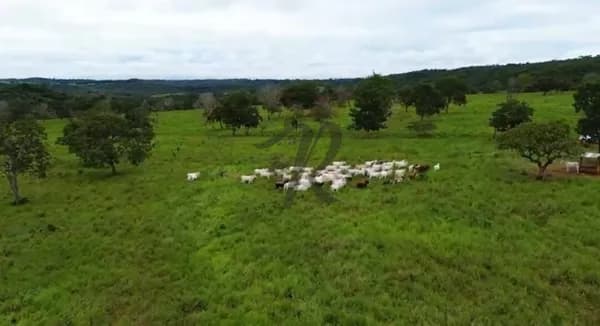 Fazenda/Sítios/Chácaras em Primavera do Leste - Zona Rural