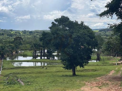 Chácara com 3 dormitórios à venda, 60000 m² por R$ 1.000.000,00 - Região do Rego da Água - Poxoréu/MT