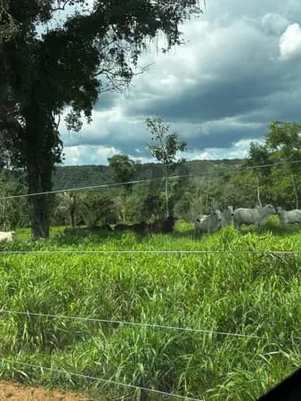 Fazenda/Sítios/Chácaras em Primavera do Leste - Zona Rural