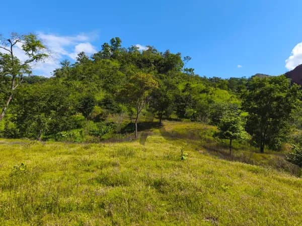 Fazenda/Sítios/Chácaras em Poxoréu - RURAL
