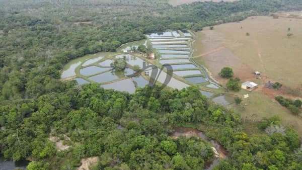 Fazenda/Sítios/Chácaras em Primavera do Leste - Zona Rural